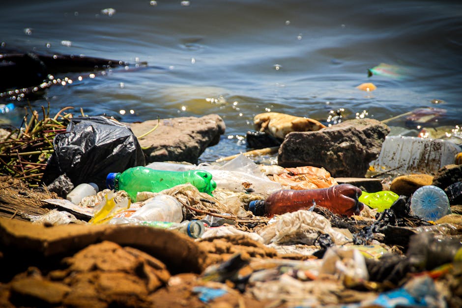 Close-up image of a shoreline strewn with various types of litter including plastic bottles, fragments, and wrappers. In the foreground, several plastic bottles in different colors such as green, brow